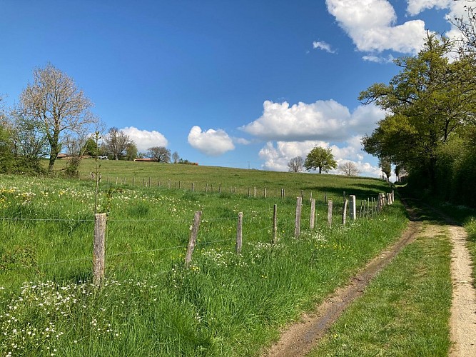 Sentier Saint-Loup_Panissières