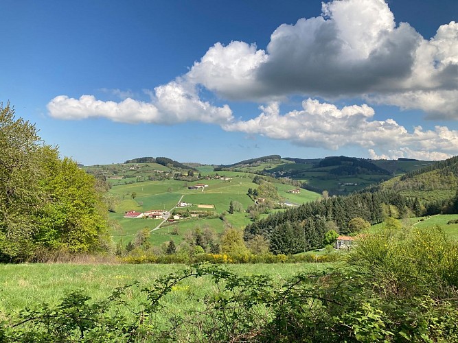 Sentier Saint-Loup_Panissières