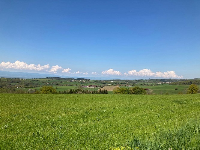 Sentier Saint-Loup_Panissières