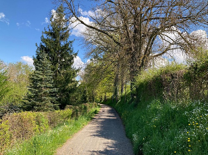 Sentier Saint-Loup_Panissières