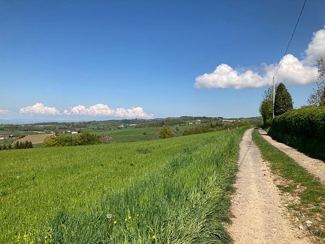 Sentier Saint-Loup_Panissières
