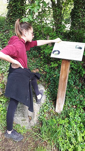 Sentier Le pied du diable