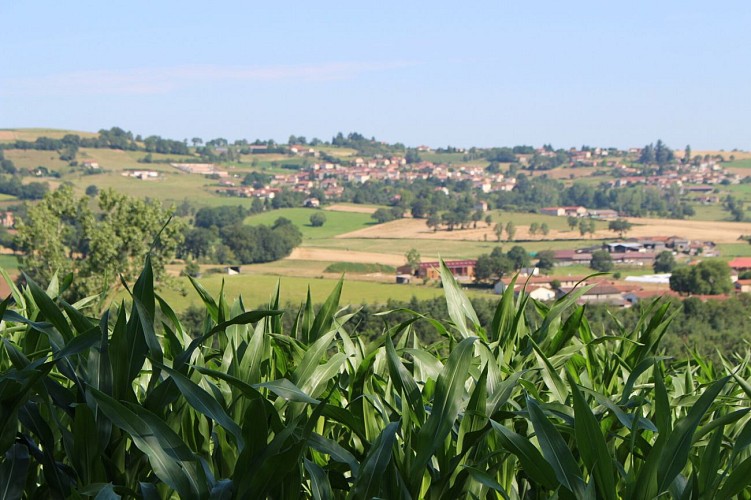 Sentier entre Loire et Rhône_Chazelles-sur-Lyon