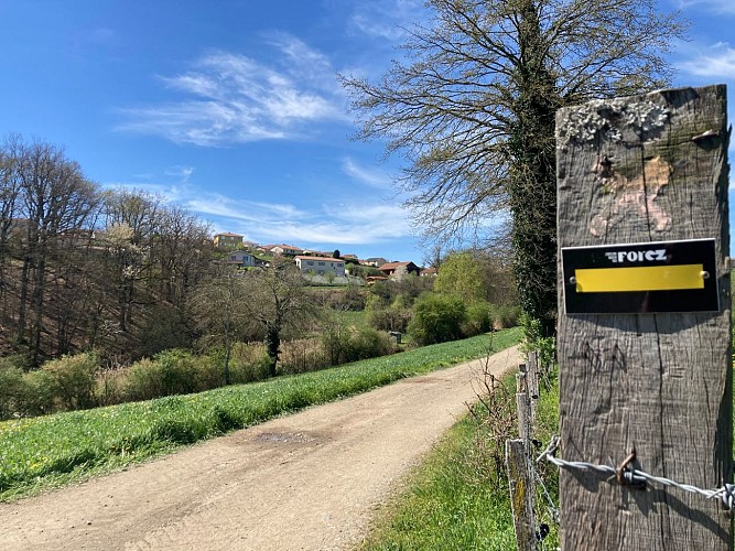 Sentier entre Loire et Rhône_Chazelles-sur-Lyon