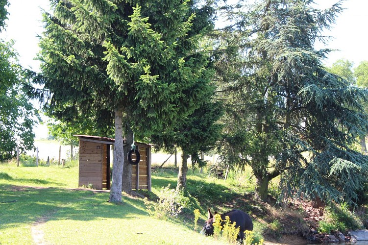 Entre Loire et Rhône