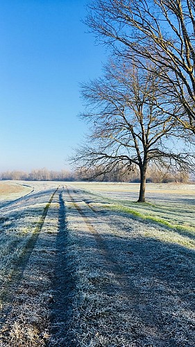 GRP Autour des Gorges de la Loire
