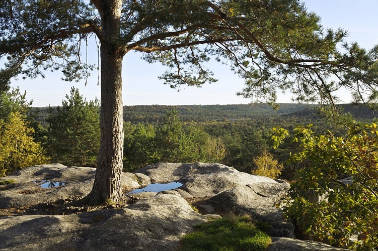 Sentier des carriers