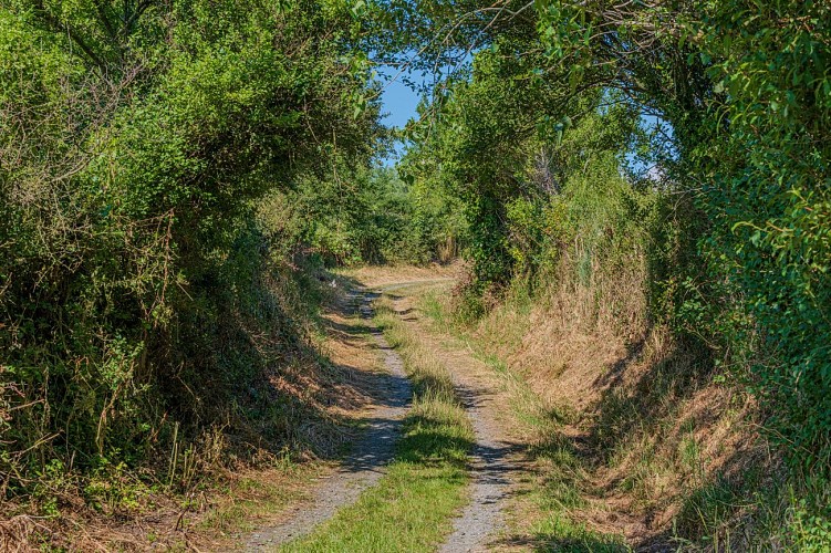 Circuit Les Moulins, les Ecuyers à Muneville-le-Bingard