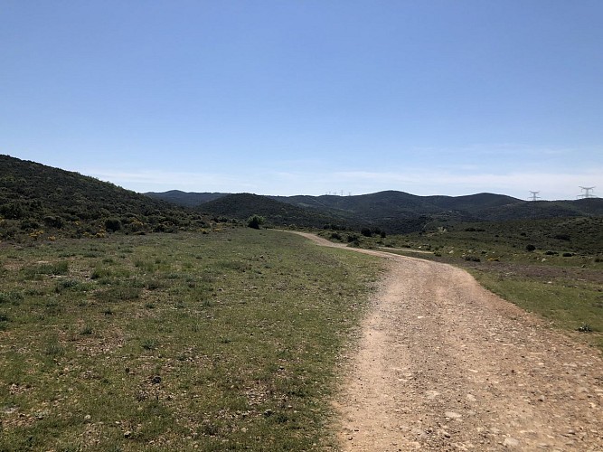 autour du vieux chêne de Védas