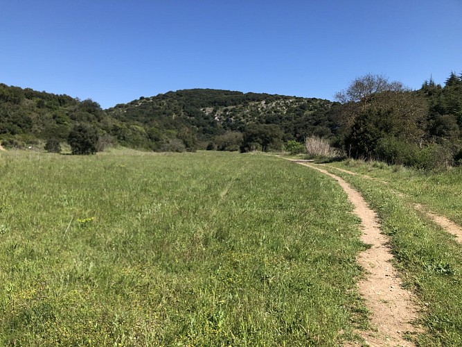 autour du vieux chêne de Védas