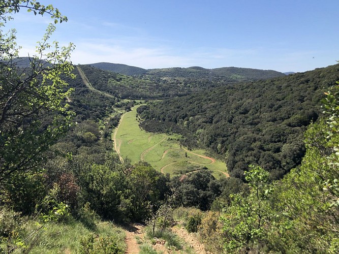 autour du vieux chêne de Védas