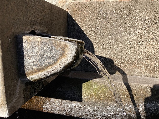 Sentier La source_Mizérieux