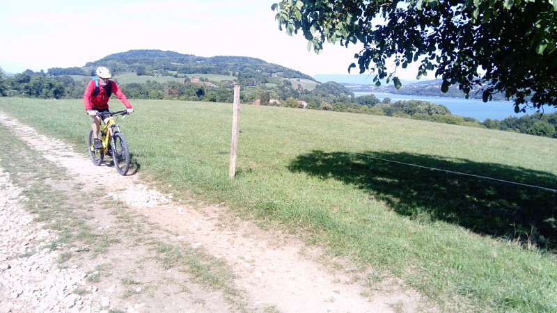 Mountainbike-Route Nr. 6 – "Kleine Seerundfahrt am Lac de Paladru"