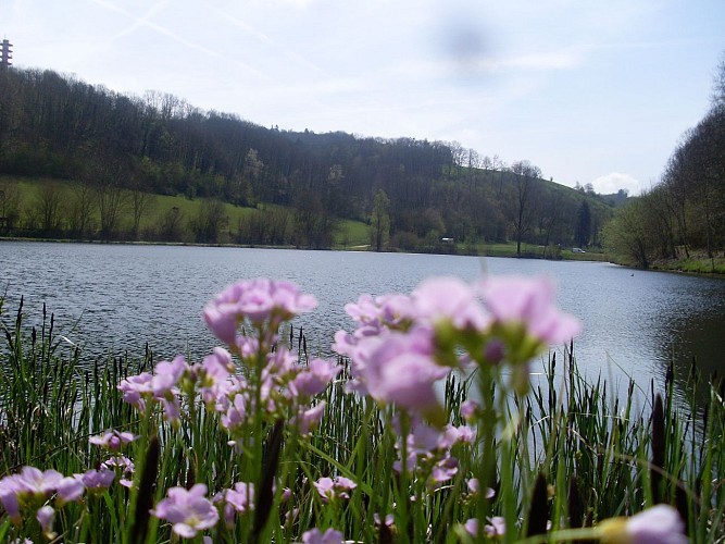 Mountainbike-Route Nr. 1 – "Die Teiche von Oyeu"