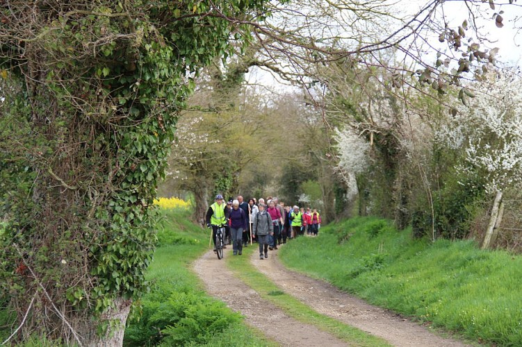 Voie verte Laval-Renazé