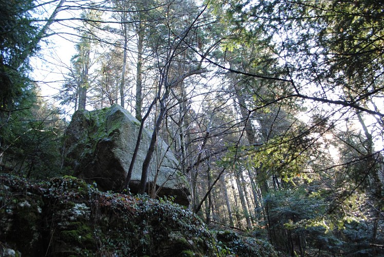 Fußwanderweg: "Waldwanderung zum Pierre à Matta"