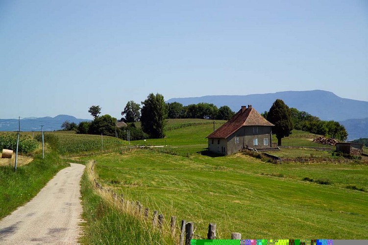 Du côté des Mille Martyrs
