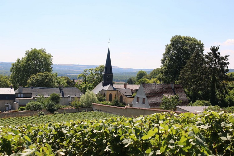 À travers le massif de Saint-Thierry