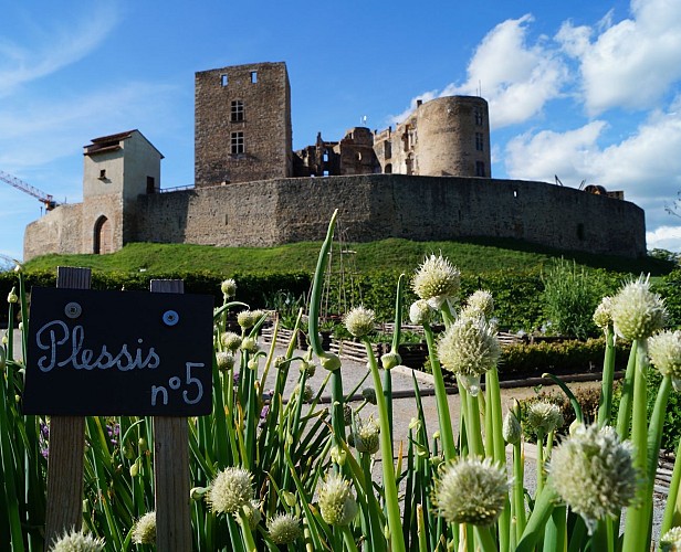 Sentier du curiste côté campagne