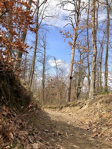 Sentier des baguenaudiers