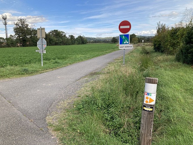 Randonnée la Voie Verte_Montrond-les-Bains