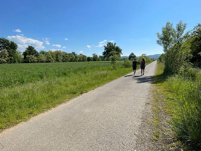 Randonnée la Voie Verte_Montrond-les-Bains