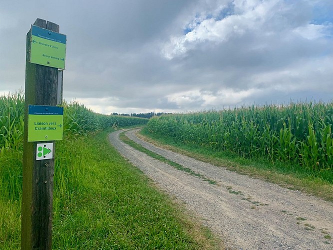 Boucle des Bords de Loire