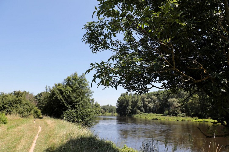 Sentier de la forêt vierge_Montrond-les-Bains