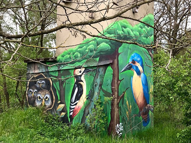 Le sentier des Coulaizes sur le site des 2 becs à pied