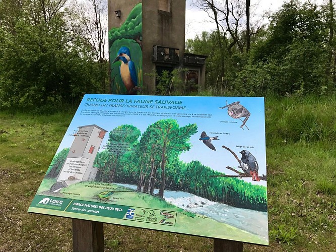 Le sentier des Coulaizes sur le site des 2 becs à pied