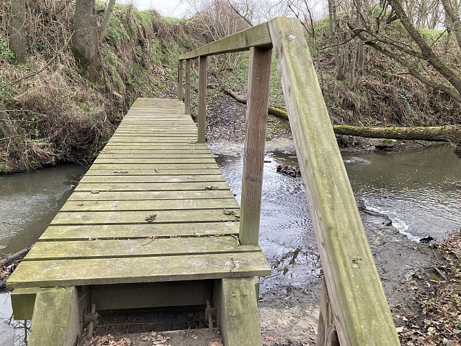 Sentier du castor - La Transligérienne : Montrond-les-Bains / Ecopôle du Forez_Montrond-les-Bains