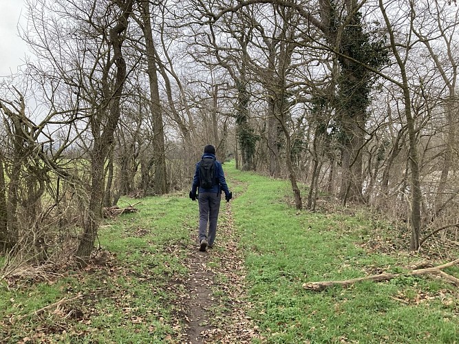 Sentier du castor - La Loire Forézienne : Montrond-les-Bains / Ecopôle du Forez_Montrond-les-Bains
