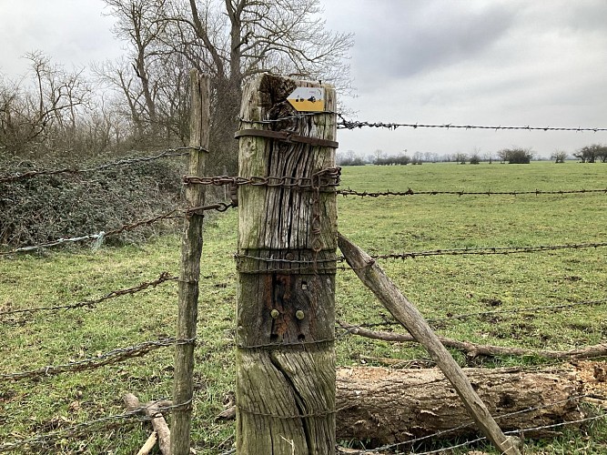 Sentier du castor - La Loire Forézienne : Montrond-les-Bains / Ecopôle du Forez_Montrond-les-Bains
