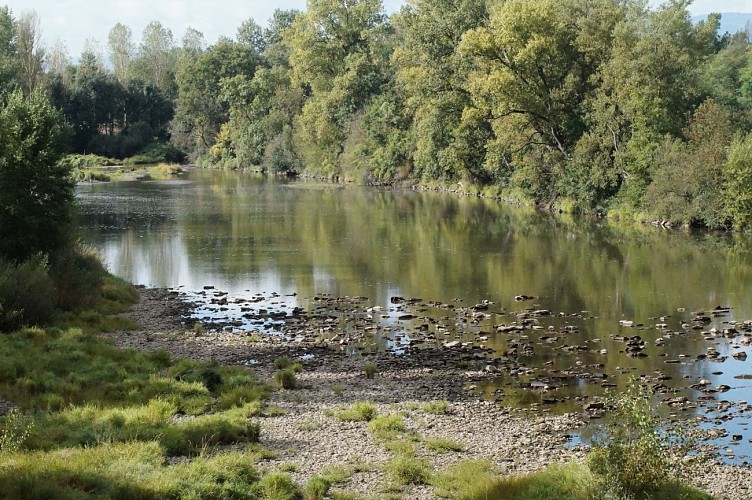 Sentier du castor - La Transligérienne : Montrond-les-Bains / Ecopôle du Forez