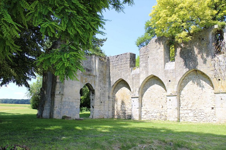 Les ruines de Champlieu