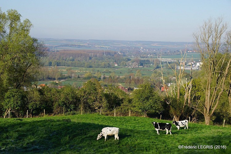 Les Côteaux de l'Aa PARCOURS SOUS VIGILANCE (CHASSE)
