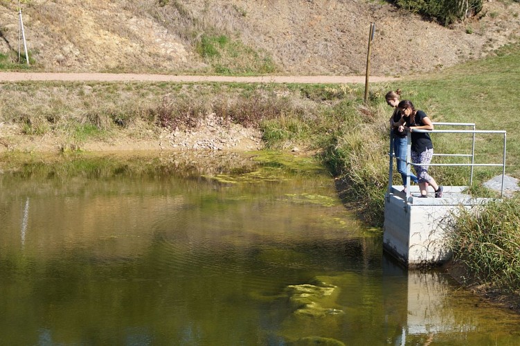 Sentier botanique de Vareilles