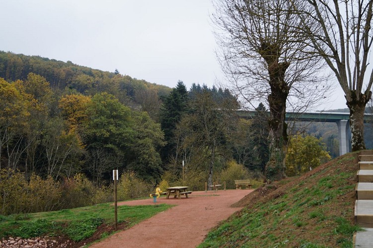 Sentier botanique de Vareilles