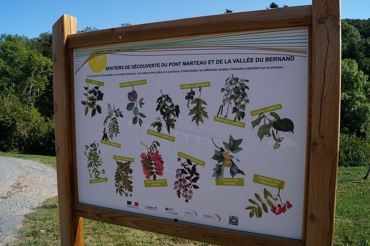 Sentier botanique de Vareilles