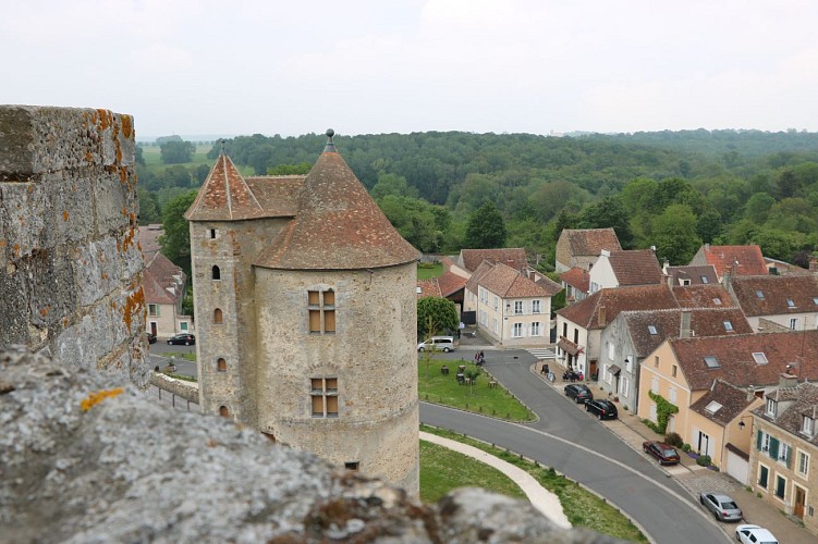 Blandy-les-Tours : El Castillo Fortificado de las Cinco Torres