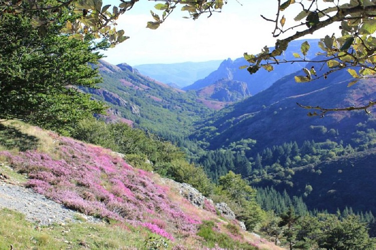 Circuit touristique en voiture - De L'Espinouse au Caroux
