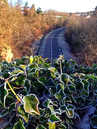 Sentier Pierre sur autre
