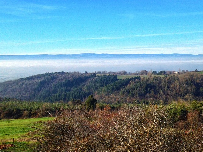 Sentier Pierre sur autre