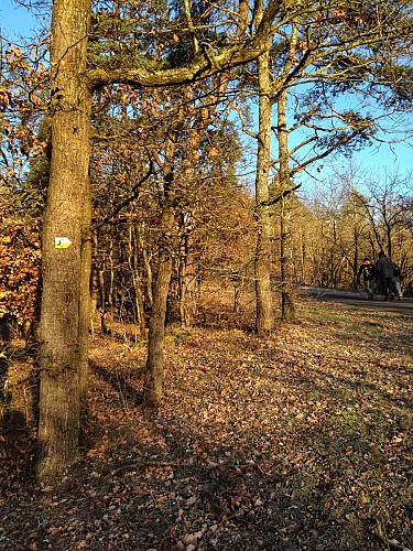 Sentier Pierre sur autre