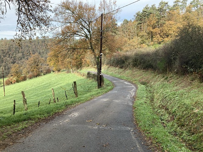 Sentier des moulins_Saint-Médard-en-Forez