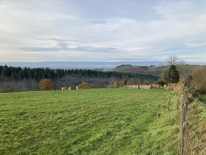 Sentier des moulins_Saint-Médard-en-Forez
