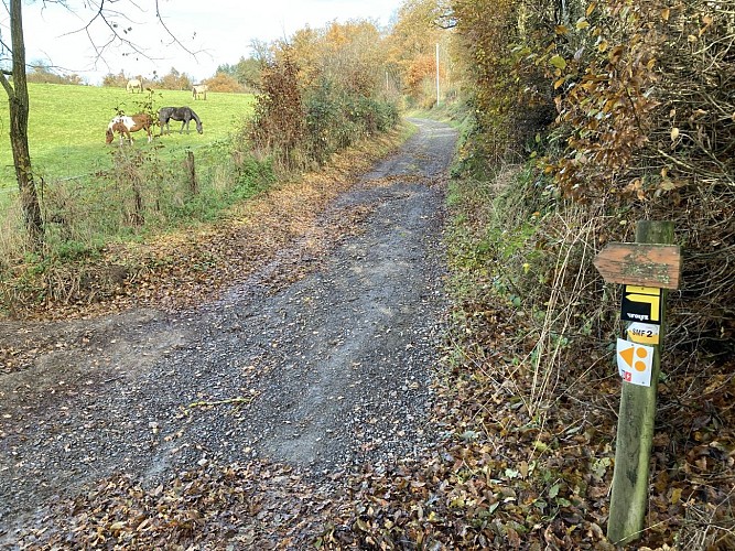 Sentier des moulins_Saint-Médard-en-Forez
