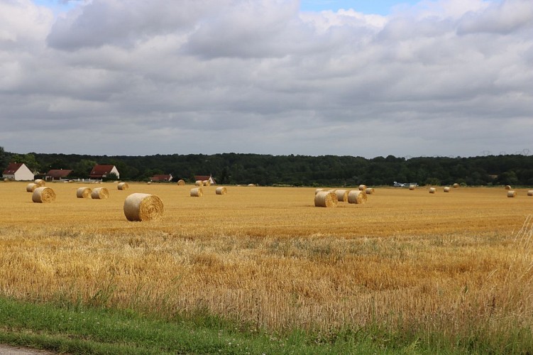 Von den Weinbergen zu den Obstgärten im Javot-Tal