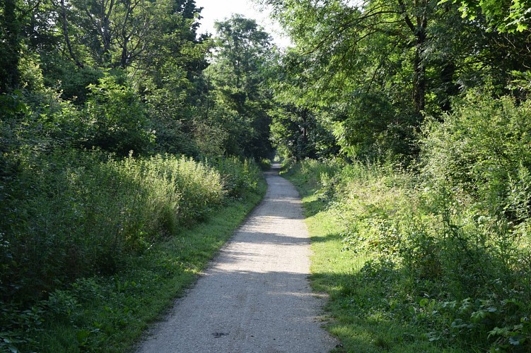 Die Furten der Yerres