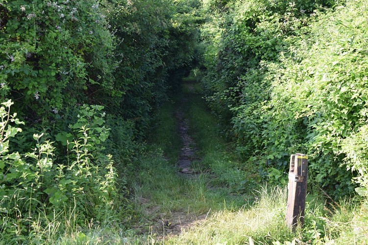 The Fords on the Yerres